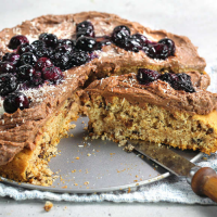 Torta vegan cocco, cioccolato e cannella